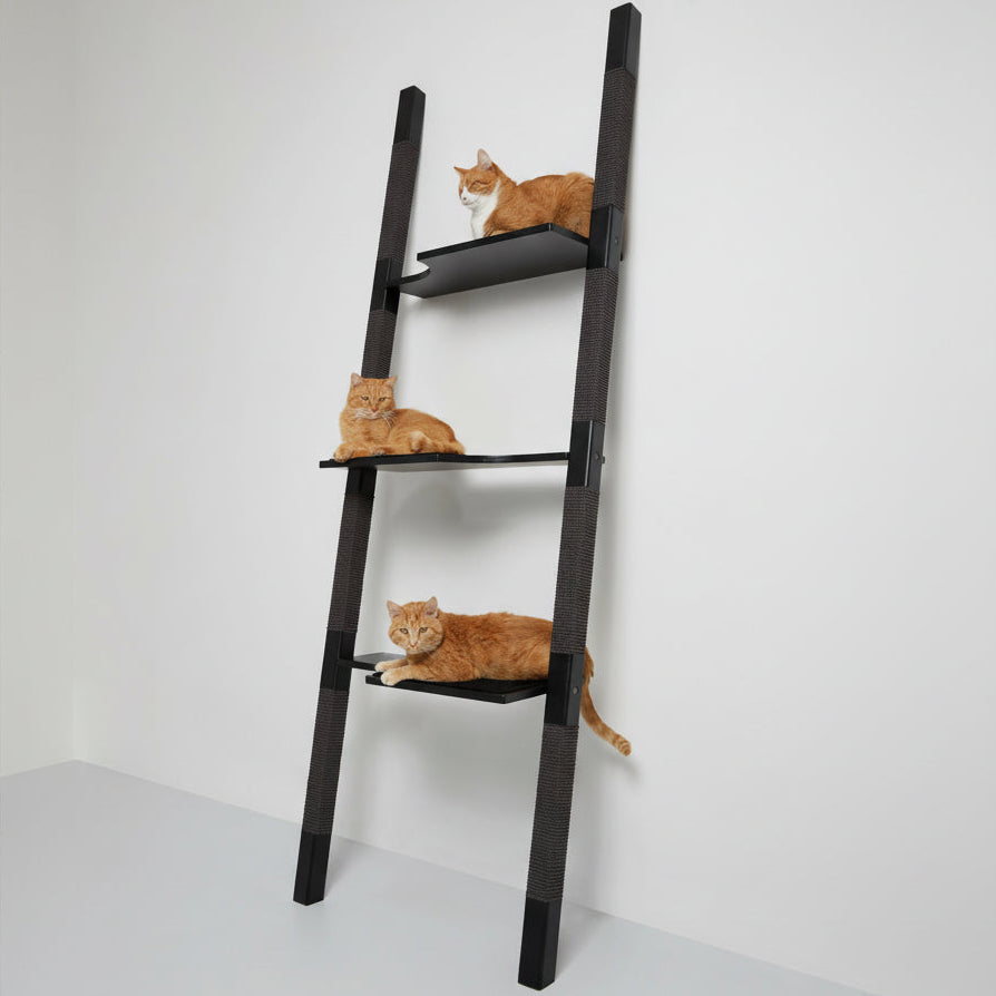 Stabiler Kratzbaum für große Katzen – H-Tree Studio