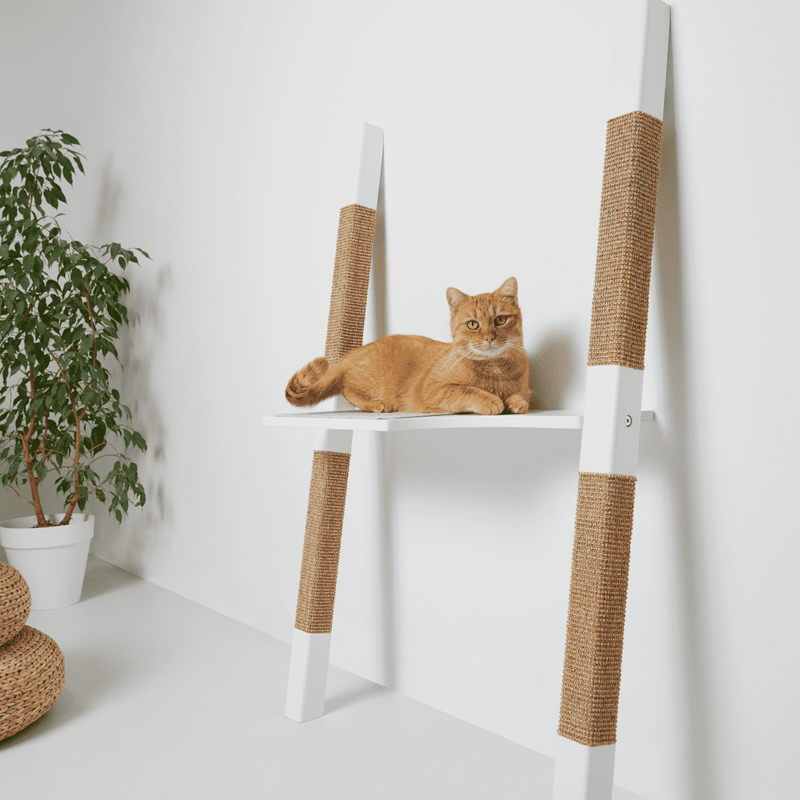 Design-Kratzbaum H-Tree H1 aus lackiertem Echt-Holz in Weiß mit naturfarbenem Sisal – rote Katze liegt auf mittlerer Plattform, Pflanze im Hintergrund, helles minimalistisches Ambiente
