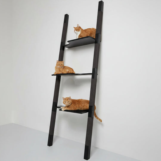 H3 - "The Explorer" 220 cm