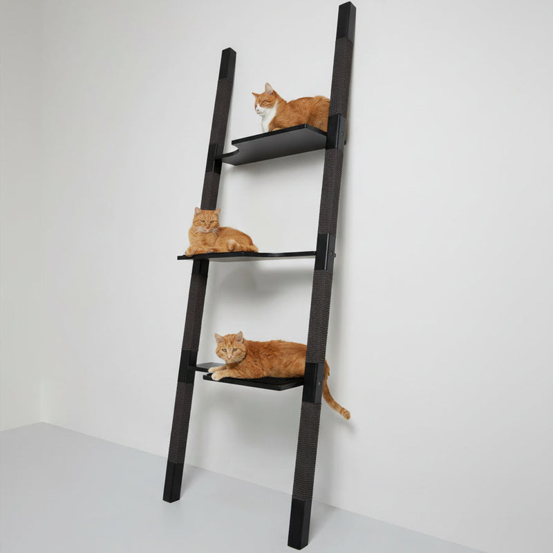 H3 - "The Explorer" 220 cm