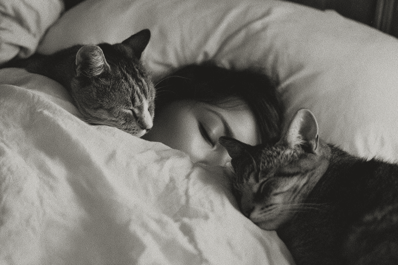 Frau schläft friedlich im Bett mit zwei Katzen, die eng an ihrer Seite liegen – stilles Schwarzweißfoto voller Wärme, Vertrauen und Ruhe im gemeinsamen Zuhause