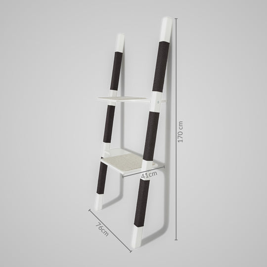 H2 - The Companion 170cm