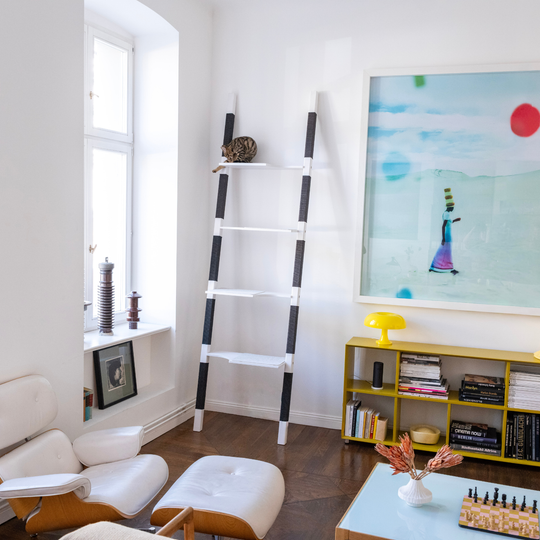 H4 - "The Visionary" 270cm
