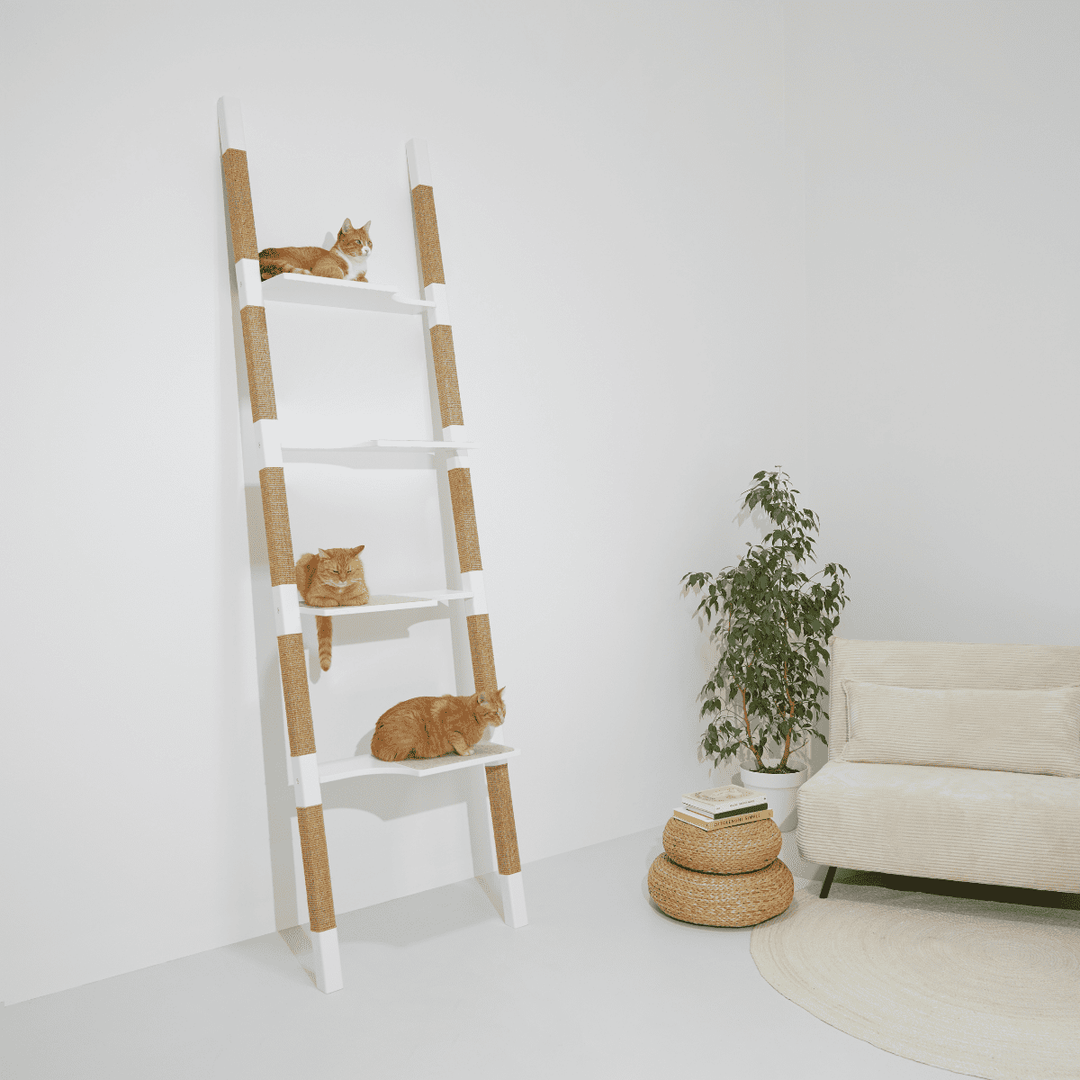 Design-Kratzbaum H-Tree H4 aus lackiertem Echt-Holz in Weiß mit naturfarbenem Sisal – drei rote Katzen liegen entspannt auf den Plattformen, minimalistisches Wohnzimmer mit hellem Sofa und Pflanze