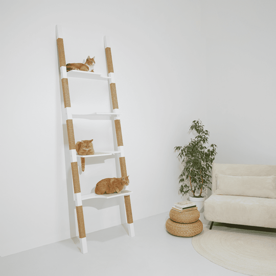 Design-Kratzbaum H-Tree H4 aus lackiertem Echt-Holz in Weiß mit naturfarbenem Sisal – drei rote Katzen liegen entspannt auf den Plattformen, minimalistisches Wohnzimmer mit hellem Sofa und Pflanze