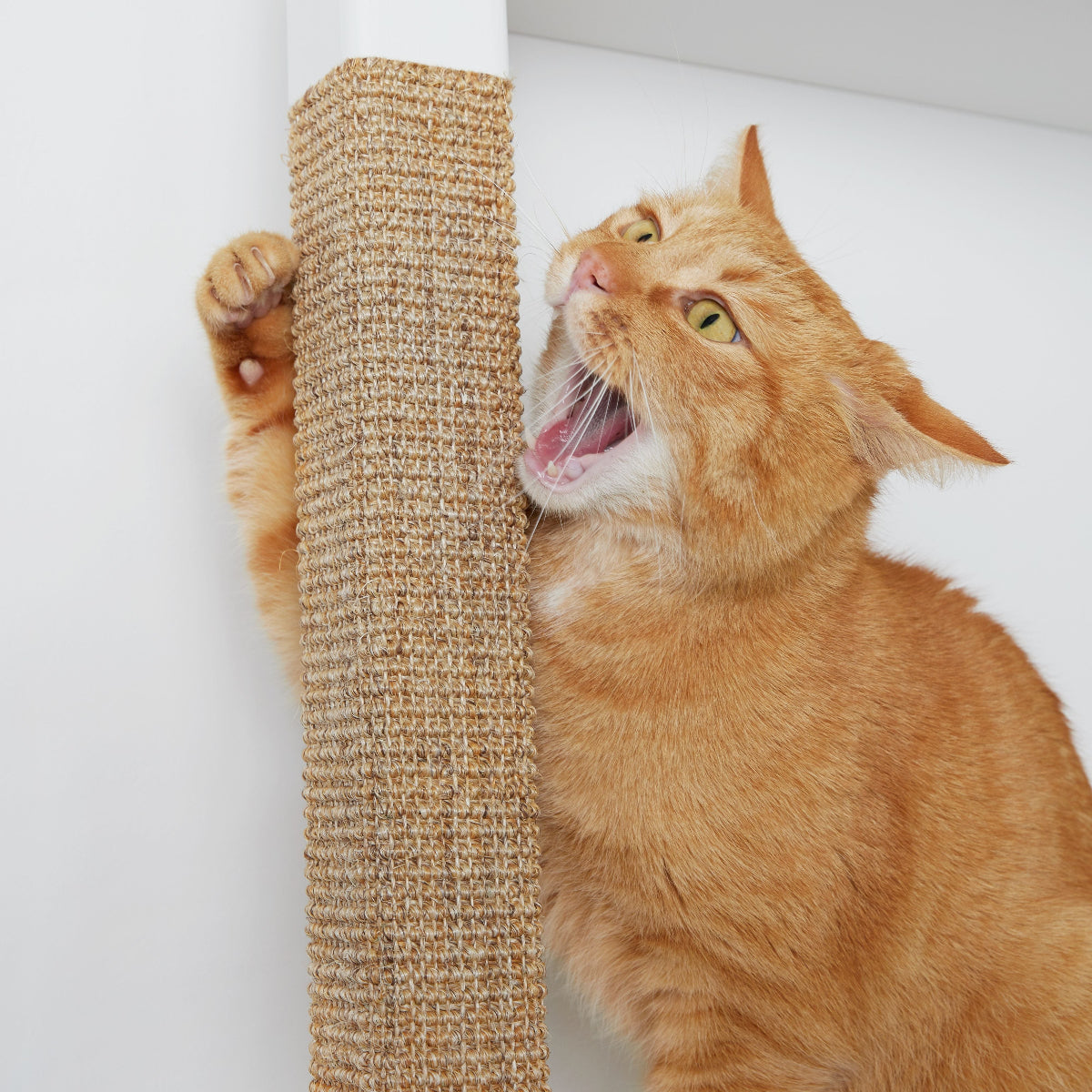 Beige_H_Series_Cat_ Tree_Close_Up_scratch_post_Cat_biting