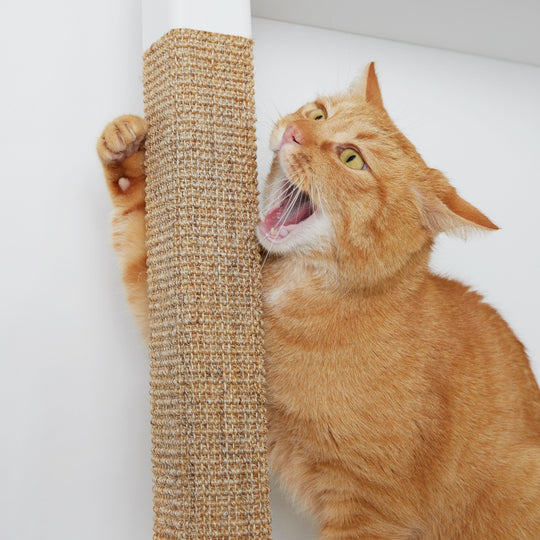 Beige_H_Series_Cat_ Tree_Close_Up_scratch_post_Cat_biting
