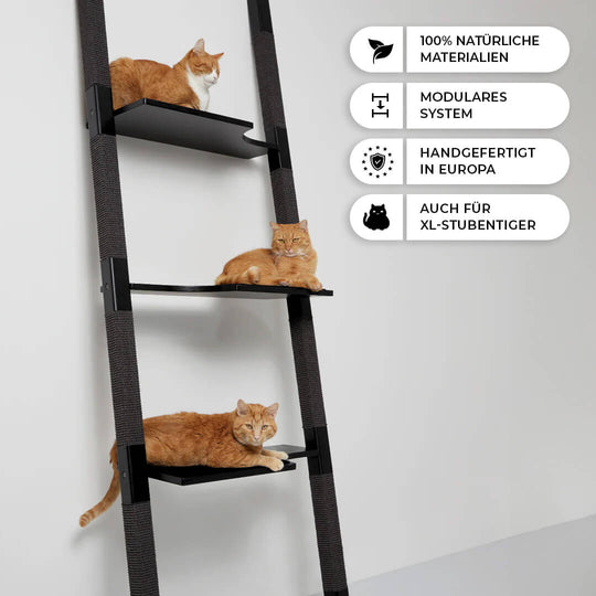 H3 Cat Tree 220cm